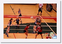 vs Manhattan * (224 Slides)